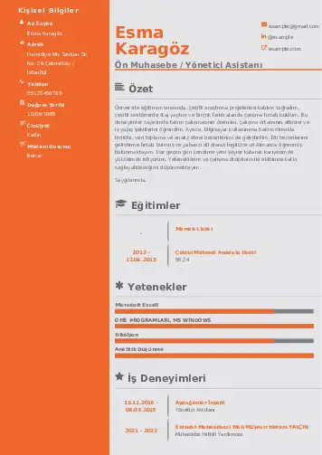 cv indir